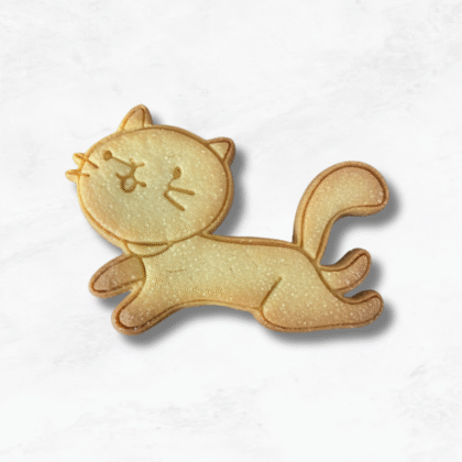 Gatto 2