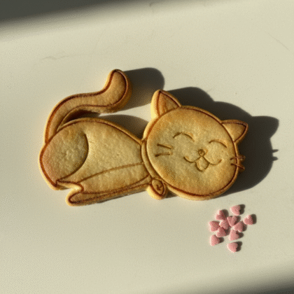 Gatto 4